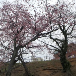 福岡