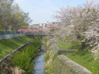 2 山田川(吹田市と摂津市の境界線)